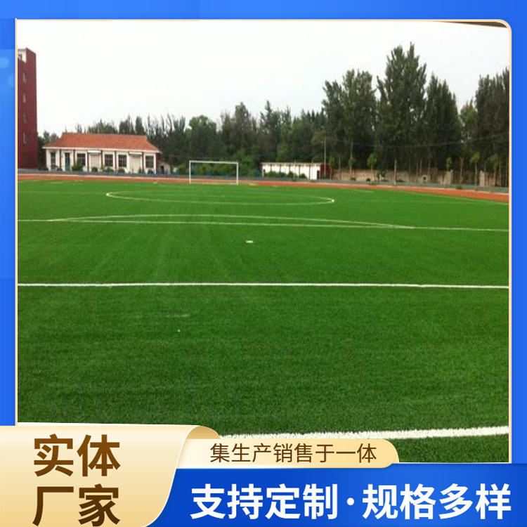 五家渠市EPDM颗粒人造草坪 - 哪里好